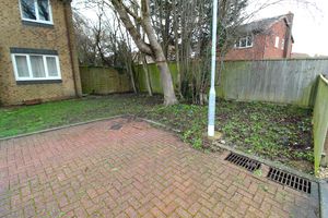 Side Garden- click for photo gallery